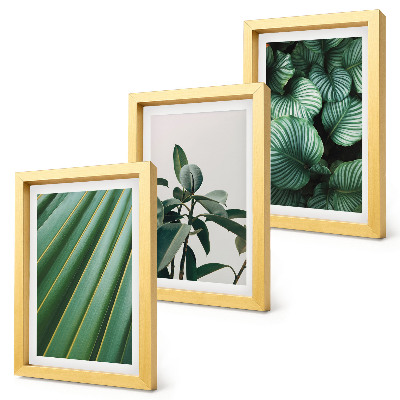 Gallery wall Esthetische tropische bladeren in diverse groene tinten