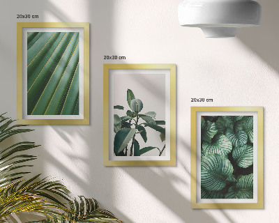 Gallery wall Esthetische tropische bladeren in diverse groene tinten