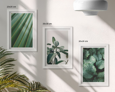 Gallery wall Esthetische tropische bladeren in diverse groene tinten