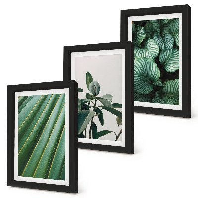 Gallery wall Esthetische tropische bladeren in diverse groene tinten