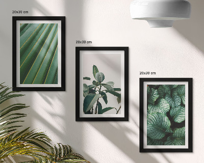Gallery wall Esthetische tropische bladeren in diverse groene tinten