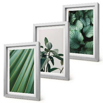 Gallery wall Esthetische tropische bladeren in diverse groene tinten