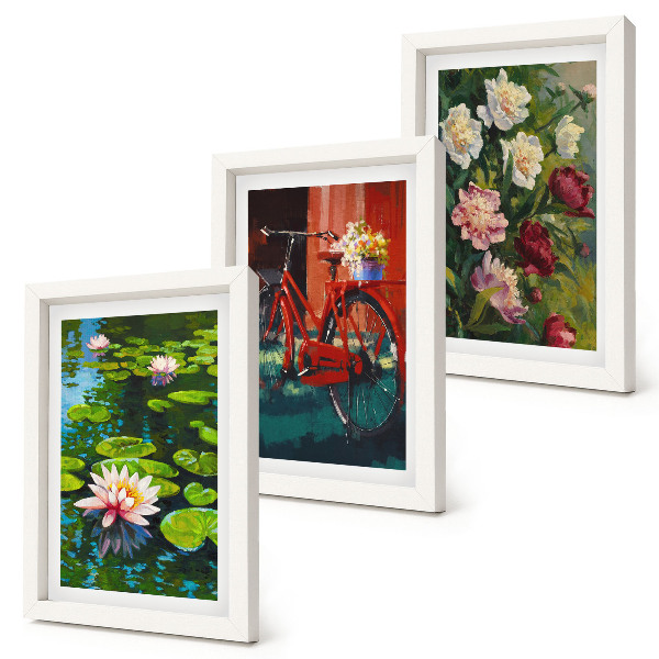 Set van ingelijste schilderijen Lelies op het water, fiets in de tuin, kleurrijke bloemen