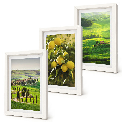 Gallery wall Italiaanse landschappen met citrusbomen en groene heuvels