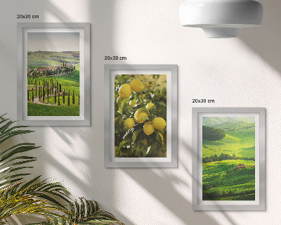 Gallery wall Italiaanse landschappen met citrusbomen en groene heuvels