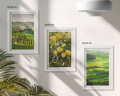 Gallery wall Italiaanse landschappen met citrusbomen en groene heuvels