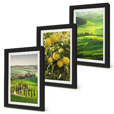 Gallery wall Italiaanse landschappen met citrusbomen en groene heuvels