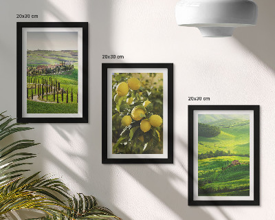 Gallery wall Italiaanse landschappen met citrusbomen en groene heuvels