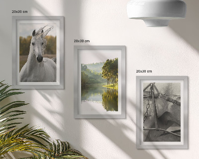 Gallery wall Witte paarden bij de rivier, een natuurlijk landschap