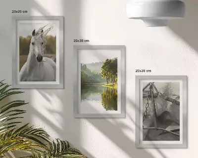 Gallery wall witte paarden bij de rivier in een natuurlijk landschap