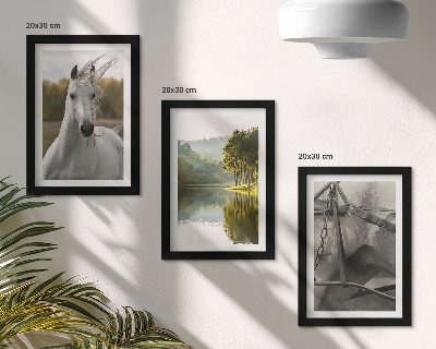 Gallery wall Witte paarden bij de rivier, een natuurlijk landschap