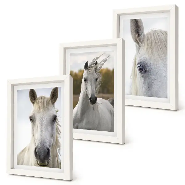 Set van ingelijste schilderijen met witte paarden in verschillende houdingen tegen een natuurlijke achtergrond