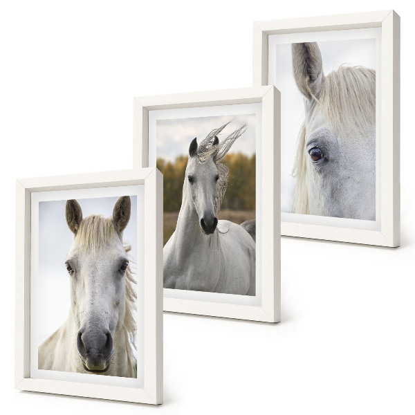 Set van ingelijste schilderijen Witte paarden in verschillende houdingen tegen een natuurlijke achtergrond.