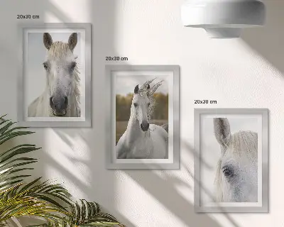 Set van ingelijste schilderijen met witte paarden in verschillende houdingen tegen een natuurlijke achtergrond