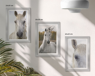 Set van ingelijste schilderijen Witte paarden in verschillende houdingen tegen een natuurlijke achtergrond.