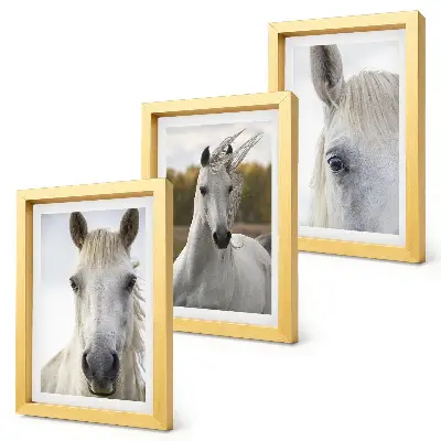 Set van ingelijste schilderijen met witte paarden in verschillende houdingen tegen een natuurlijke achtergrond