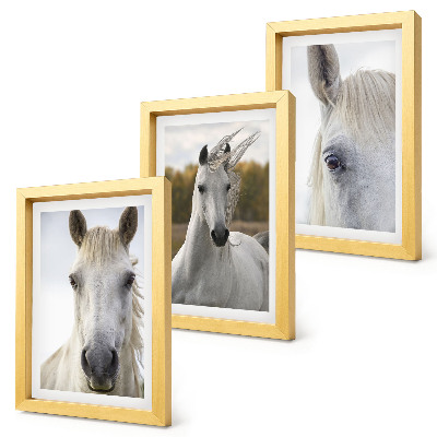 Set van ingelijste schilderijen Witte paarden in verschillende houdingen tegen een natuurlijke achtergrond.