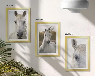 Set van ingelijste schilderijen met witte paarden in verschillende houdingen tegen een natuurlijke achtergrond