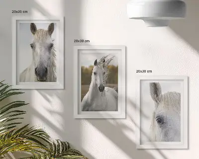 Set van ingelijste schilderijen met witte paarden in verschillende houdingen tegen een natuurlijke achtergrond