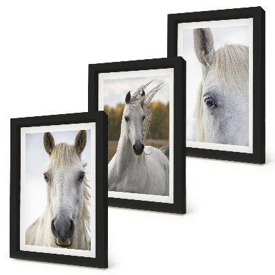 Set van ingelijste schilderijen Witte paarden in verschillende houdingen tegen een natuurlijke achtergrond.