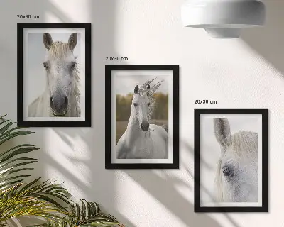 Set van ingelijste schilderijen met witte paarden in verschillende houdingen tegen een natuurlijke achtergrond