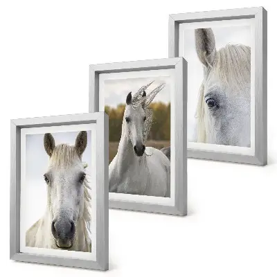 Set van ingelijste schilderijen met witte paarden in verschillende houdingen tegen een natuurlijke achtergrond