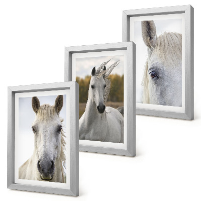 Set van ingelijste schilderijen Witte paarden in verschillende houdingen tegen een natuurlijke achtergrond.
