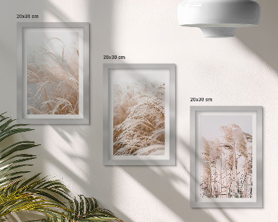 Gallery wall Grasvelden in delicate tinten bruin en beige.