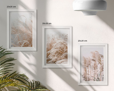 Gallery wall Grasvelden in delicate tinten bruin en beige.