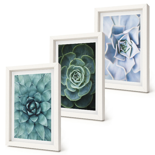 Gallery wall Vetplanten in groene en turquoise tinten.