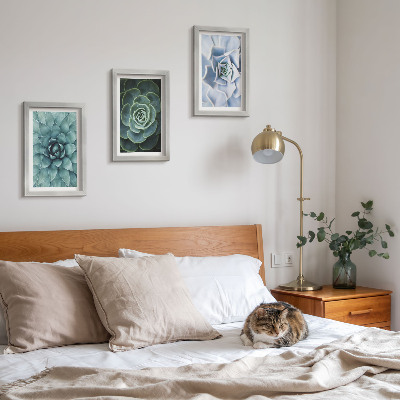 Gallery wall Vetplanten in groene en turquoise tinten.