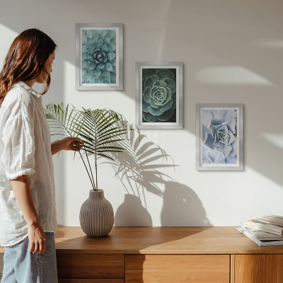 Gallery wall Vetplanten in groene en turquoise tinten.