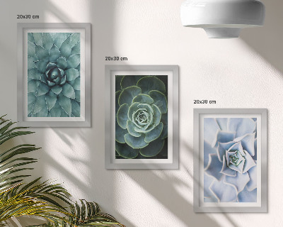Gallery wall Vetplanten in groene en turquoise tinten.