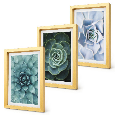 Gallery wall Vetplanten in groene en turquoise tinten.
