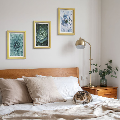 Gallery wall Vetplanten in groene en turquoise tinten.