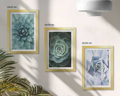 Gallery wall Vetplanten in groene en turquoise tinten.