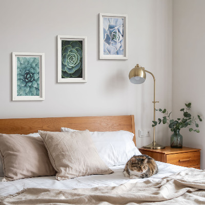Gallery wall Vetplanten in groene en turquoise tinten.