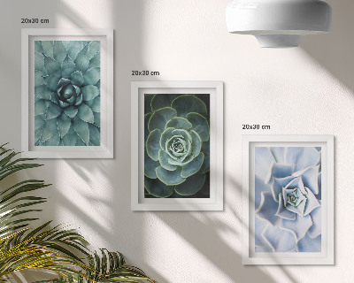 Gallery wall Vetplanten in groene en turquoise tinten.