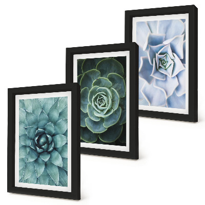 Gallery wall Vetplanten in groene en turquoise tinten.