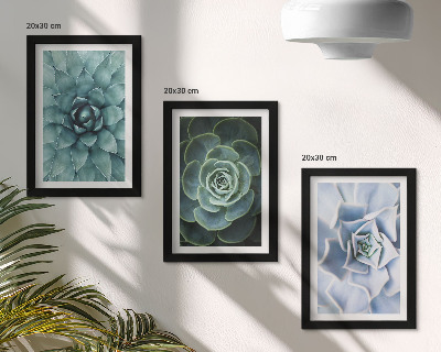 Gallery wall Vetplanten in groene en turquoise tinten.