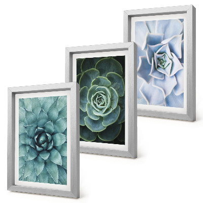 Gallery wall Vetplanten in groene en turquoise tinten.
