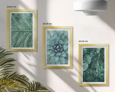 Set ingelijste schilderijen met close-ups van vetplanten en bladeren