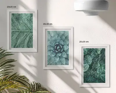 Set ingelijste schilderijen met close-ups van vetplanten en bladeren