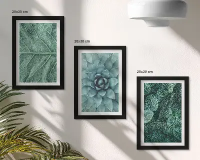 Set ingelijste schilderijen met close-ups van vetplanten en bladeren