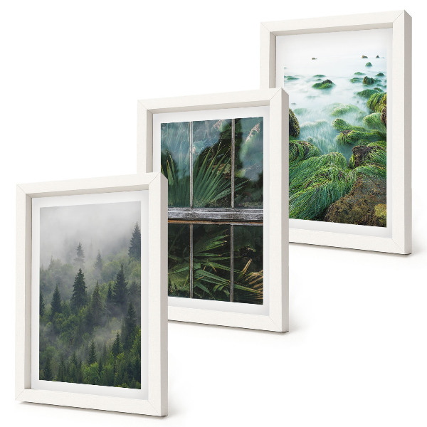 Gallery wall Een bos in de mist, een rivieroever en een kas met planten.