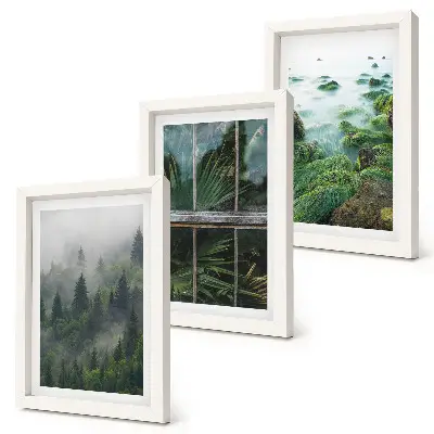 Gallery wall met een bos in de mist, een rivieroever en een kas vol planten