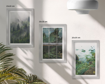 Gallery wall Een bos in de mist, een rivieroever en een kas met planten.