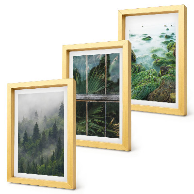 Gallery wall Een bos in de mist, een rivieroever en een kas met planten.