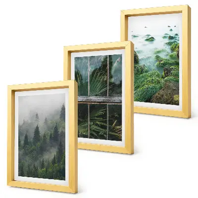 Gallery wall met een bos in de mist, een rivieroever en een kas vol planten