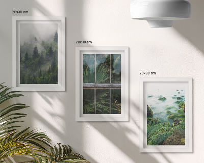 Gallery wall Een bos in de mist, een rivieroever en een kas met planten.